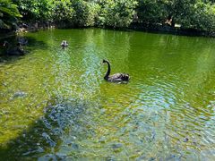 -海南热带野生动植物园