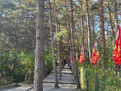 -帽儿山国家森林公园