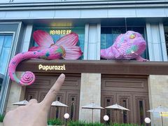 -帕帕拉兹宠物(亚洲旗舰店)