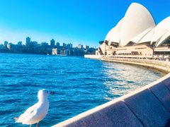 -悉尼歌剧院