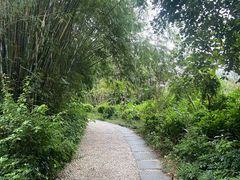 -燕晗山郊野公园