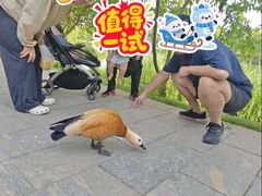 -河北省园博园
