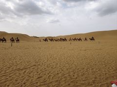 -银肯塔拉沙漠生态旅游景区