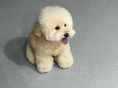 -心仪动物医院·牙专科·肿瘤·心脏科(西客站院)