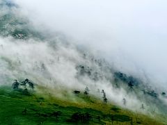 -秦岭风景区