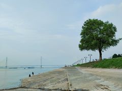 -武昌江滩
