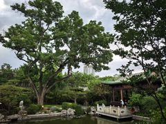 -文瀛公园
