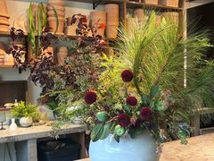 -自由生长植物工作室(深港花卉中心店)