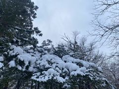 -北海道神宫