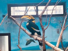 -济南野生动物世界