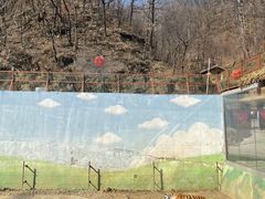 -栾川竹海野生动物园