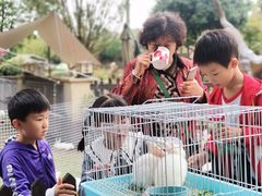 -洪湖家庭农场·团建·露营·会议
