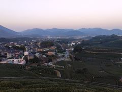 -龙坞茶村