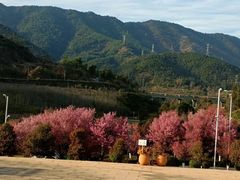 -华侨城阳宗海海景温泉