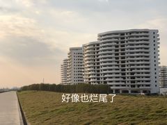 -碧海金沙