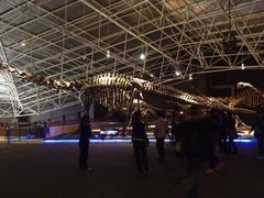 iphone_upload_pic-世界恐龙谷景区