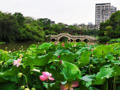 -金山公园
