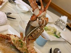 -樱苑(四川北路店)