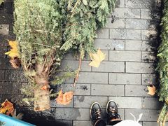 -Onirii Coffee(长乐路店)