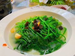 -叶氏大快活酒楼·佛山老字号
