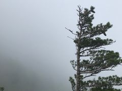 -牛背梁国家森林公园