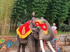 -云南民族村