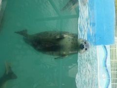 -北戴河圣蓝海洋公园