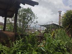 -长鹿旅游休博园