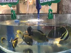 -香香海南菜餐厅
