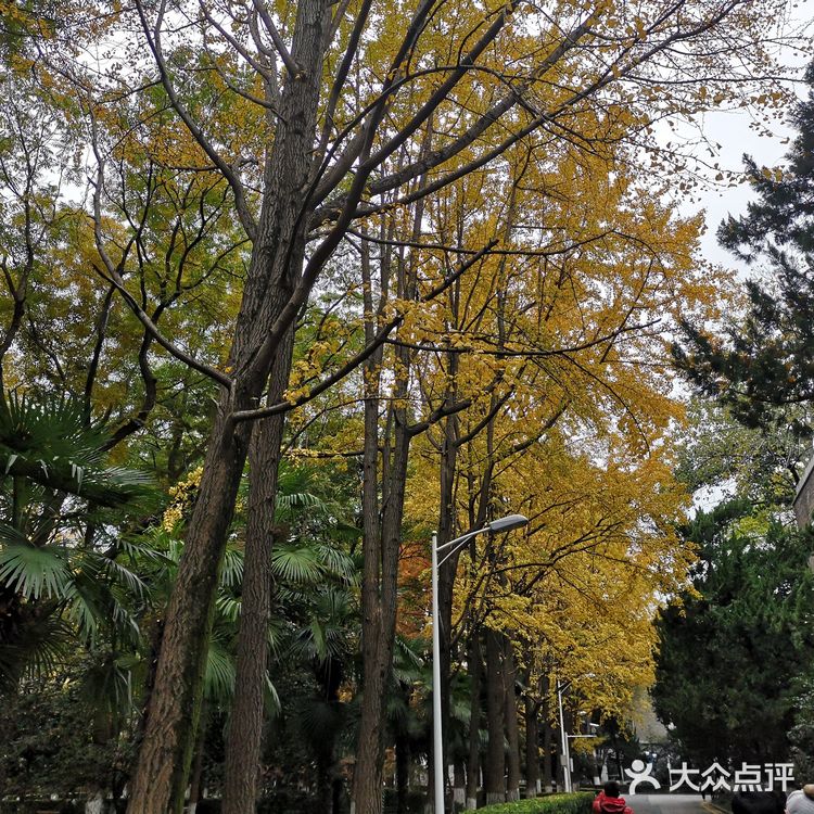 静静得在这迷人の校园走上一圈，真的是心旷神怡啊