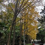 静静得在这迷人の校园走上一圈,真的是心旷神怡啊