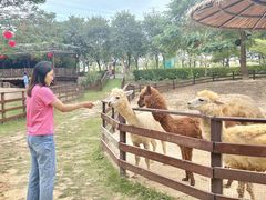 -盈香心动乐园