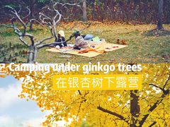-新虹桥中心花园