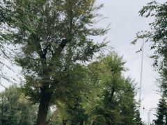 -哈尔滨文化公园