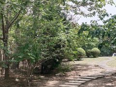 -塘沽森林公园