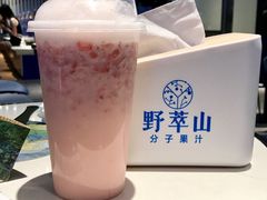 -野萃山·潮汕厚果汁(十亩地店)