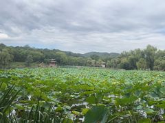 -承德避暑山庄景区