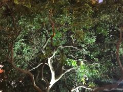 -荔城生鲜盛宴(番禺旗舰店)