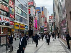 -秋叶原电器街
