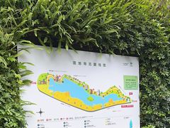 -华侨城湿地公园