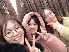 -黄海国家森林公园