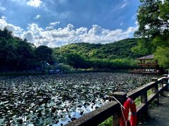 -李小龙乐园(顺德均安店)