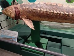 -浙江自然博物院(杭州馆)