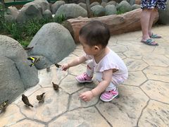 -北戴河集发农业梦想王国