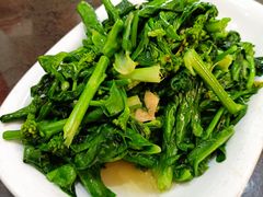 -一撮毛美食城(全力一路店)