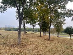 -盘龙城国家考古遗址公园