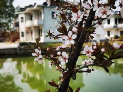 -同里国家湿地公园