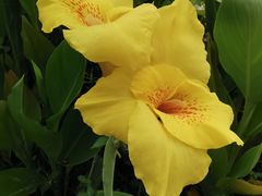 -桤木河湿地公园