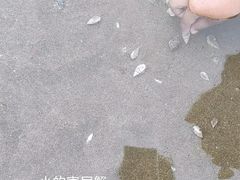 -南长涂沙滩