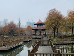 -五缘湾湿地公园